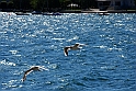 Lago di Como_035
